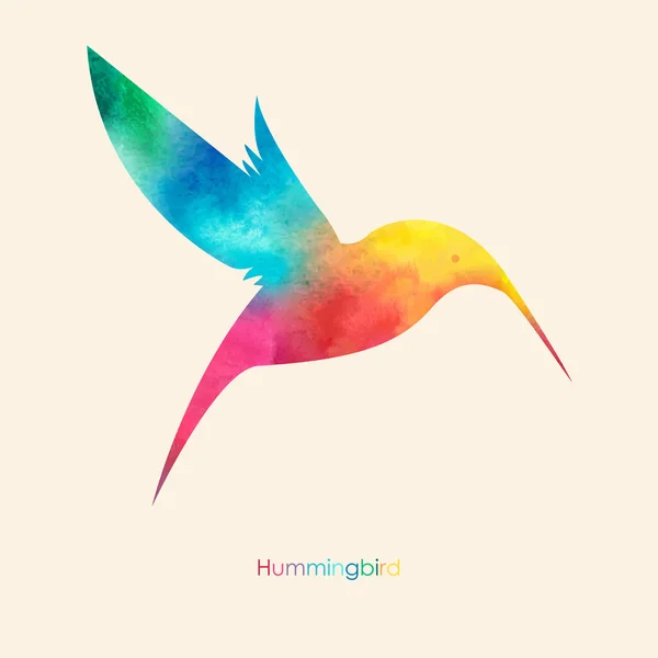 Sulu Boya renkli kuş. Suluboya resim