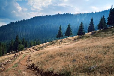 Apuseni dağın hills
