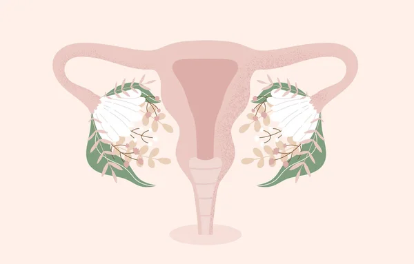 Female Reproductive System Flowers Anatomical Female Uterus Ovaries Vagina Symbol — Vettoriale Stock