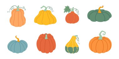 Balkabağı seti. Balkabağı ve kabak farklı renk ve boyutlarda. El çizimi moda düz stil şeffaf arka planda izole. Şükran Günü, çiftlik hasadı. Vektör illüstrasyonu