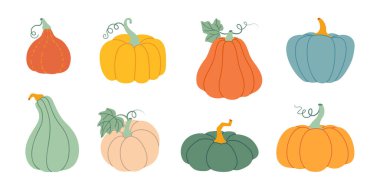 Balkabağı seti. Balkabağı ve kabak farklı renk ve boyutlarda. El çizimi moda düz stil şeffaf arka planda izole. Şükran Günü, çiftlik hasadı. Vektör illüstrasyonu