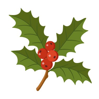 Yeşil yapraklı ve kırmızı dutlu Holly Dalı. El yapımı moda düz stil izole edilmiş. Noel kartları, kış dekorları, davetiyeler ve şenlik tasarımları için mükemmel. Vektör illüstrasyonu