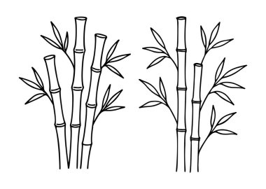 Bambu bitkileri ve sapları Doodle tarzı. El çizimi siyah ve beyaz izole ikon. Boyama sayfası, sanat terapisi, çizgi sanatı, logoti. Vektör illüstrasyonu