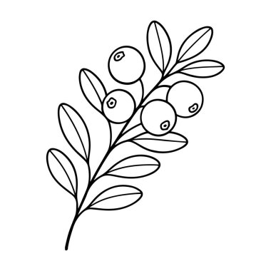 Yabanmersini dalı Doodle tarzı. El çizimi siyah ve beyaz izole ikon. Boyama sayfası, sanat terapisi, çizgi sanatı, logoti. Vektör illüstrasyonu