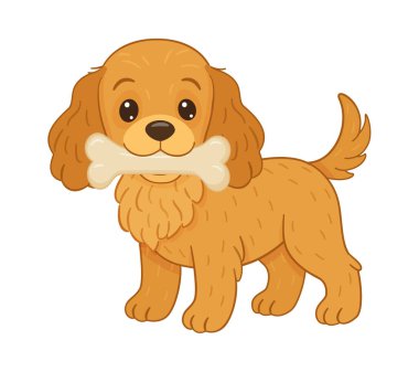 Cocker spaniel, ağzında büyük bir kemikle ayakta duruyor. Kahverengi kürk, sarkık kulaklar, dostça bir ifade. Düz stil vektör çizimi. Hayvan maması, köpek maması, hayvan iştahı temalar, çıkartmalar, hikaye kitapları..