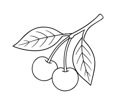 Meyve ve yapraklı kiraz dalı. Siyah beyaz çizgi sanatı. Boyama sayfaları, yemek ikonları, çıkartmalar ve mutfak tasarımları için mükemmel. Vektör illüstrasyonu