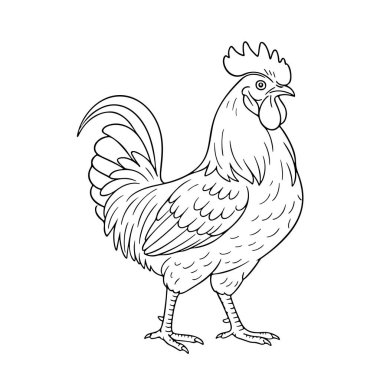 Ayakta duran horoz. Siyah beyaz çizgili karalama kümes hayvanları çizimi. Boyama sayfaları, çiftlik dekorasyonu ve organik gıda markası için mükemmel. Vektör illüstrasyonu