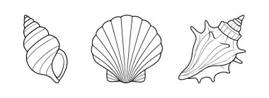 Çeşitli deniz kabukları. Siyah beyaz çizgi karalama stili. Su kabuğu koleksiyonu. Boyama sayfaları, yaz temalı çıkartmalar ve plaj dekorasyonu için mükemmel. Vektör illüstrasyonu
