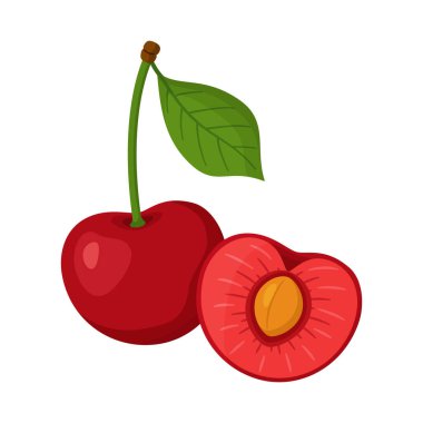Tam kırmızı kirazlı ve yarım kirazlı ve çekirdekli. El çizimi moda düz stil. Gıda tasarımı, ambalaj, menüler, çıkartmalar ve sağlıklı yaşam temaları için ideal. Vektör illüstrasyonu