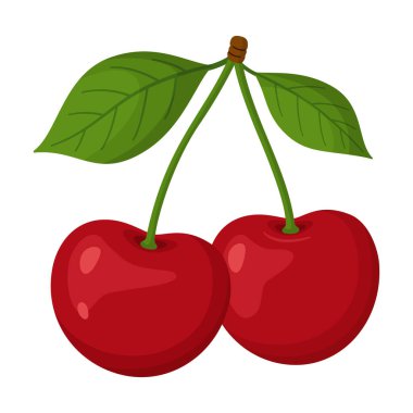 İki olgun kırmızı kiraz ve yeşil yapraklı tek bir gövde. El çizimi moda düz stil. Yemek tasarımları, yaz grafikleri, ambalajlar, çıkartmalar, menüler, sağlıklı yaşam tarzı temaları için. Vektör illüstrasyonu