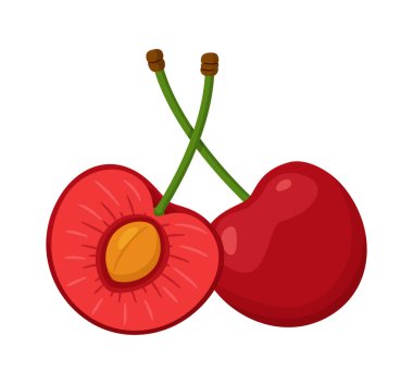 Tam kırmızı kirazlı ve yarım kirazlı ve çekirdekli. El çizimi moda düz stil. Gıda tasarımı, ambalaj, menüler, çıkartmalar ve sağlıklı yaşam temaları için ideal. Vektör illüstrasyonu