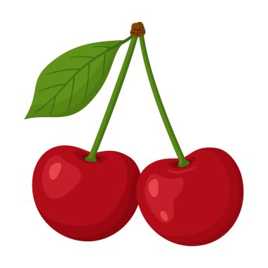 İki olgun kırmızı kiraz ve yeşil yapraklı tek bir gövde. El çizimi moda düz stil. Yemek tasarımları, yaz grafikleri, ambalajlar, çıkartmalar, menüler, sağlıklı yaşam tarzı temaları için. Vektör illüstrasyonu