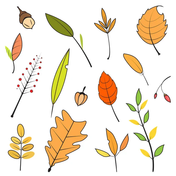 秋の葉のセット ベクトルの葉のセット Eps10ベクトル形式 — ストックベクタ