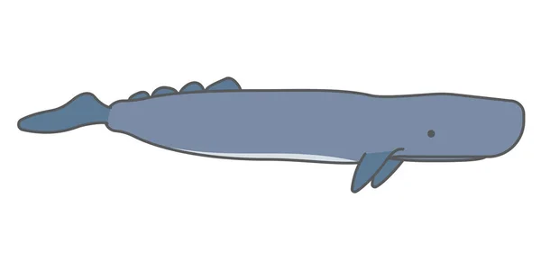 Mignon Personnage Dessin Animé Baleine Sperme Illustration Vectorielle Une Baleine — Image vectorielle