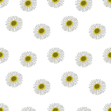 Çiçekler pürüzsüz desen, papatya çiçekleri beyaz duvar kağıdında çiçek açıyor..