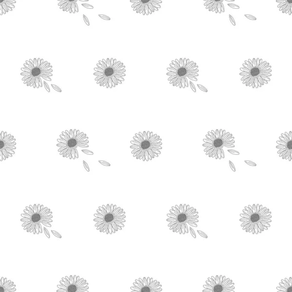 Blumen Nahtloses Muster Gänseblümchen Blühen Auf Weißer Tapete — Stockvektor