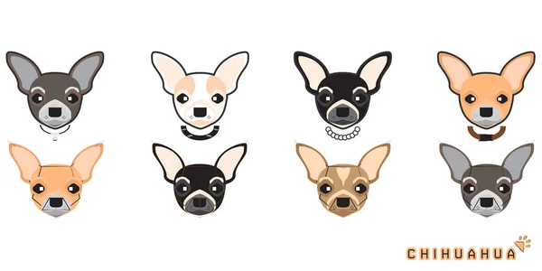 Conjunto Lindo Perro Dibujos Animados Con Chihuahua Vector Perro Conjunto — Archivo Imágenes Vectoriales