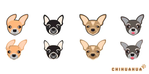 Conjunto Lindo Perro Dibujos Animados Con Chihuahua Vector Perro Conjunto — Archivo Imágenes Vectoriales
