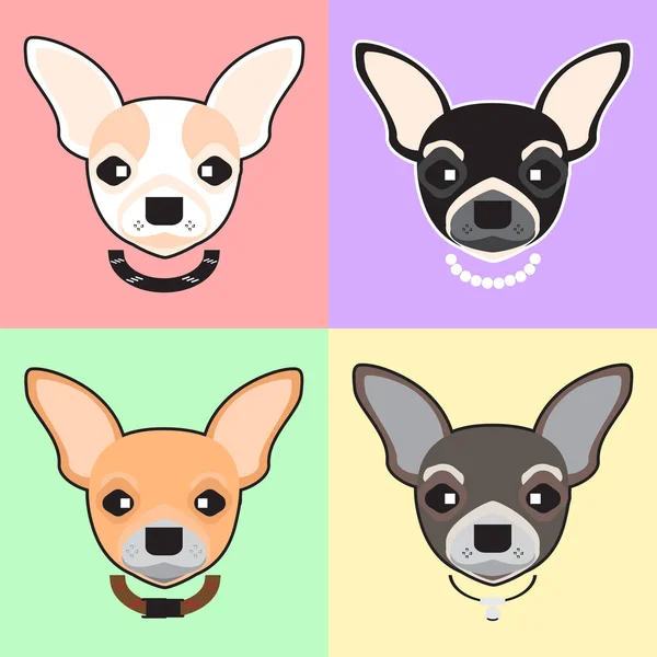 Patrón Sin Costuras Para Perros Chihuahua Sobre Fondo Colorido Iconos — Archivo Imágenes Vectoriales