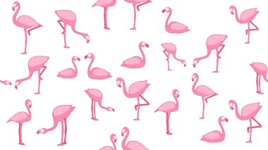 Kuş pürüzsüz desen, Flamingo beyaz duvar kağıdında.