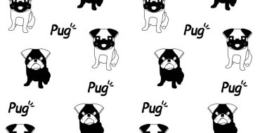 Köpek pürüzsüz desen, beyaz arka planda pug..