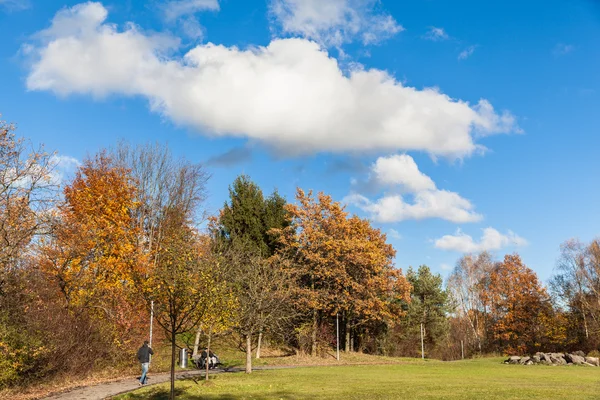 Sunday Afternoon in Irchel Campus in Zurich — Stock Photo, Image