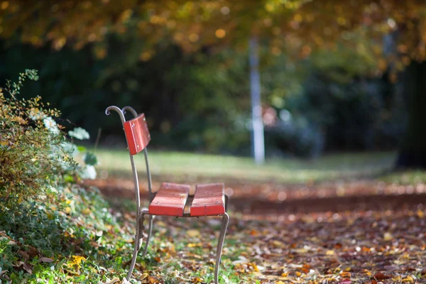 Uma cadeira para um resto no final do outono — Fotografia de Stock