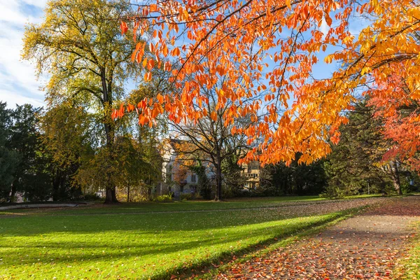 Sonntag Nachmittag im Herbst — Stockfoto