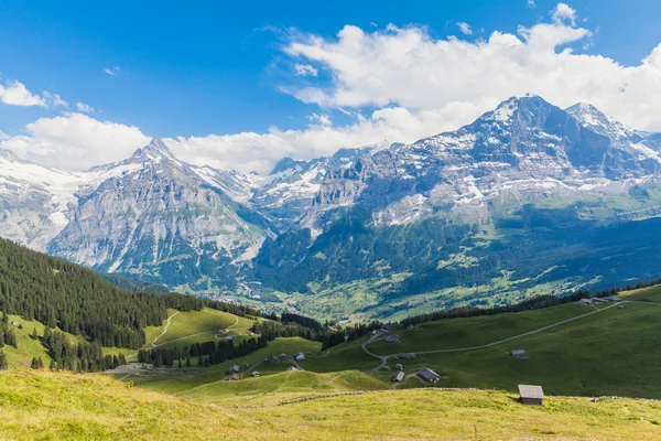 Panoramic view of Eiger, Schreckhorn and the valley — Stock Photo, Image