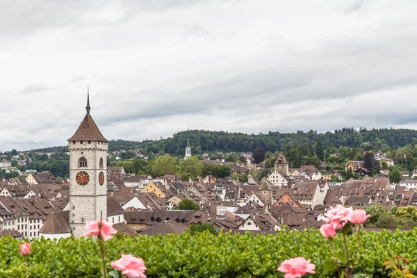 View of Schaffhausen old town  from garden — Stock Photo, Image