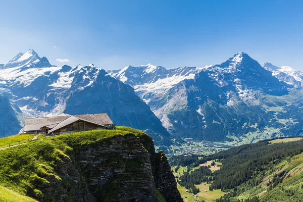 Panorama miasta z Schreckhorn, Fiescherwand, Eiger — Zdjęcie stockowe