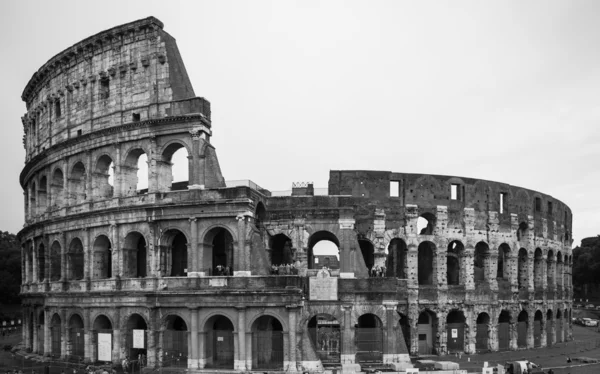 The colosseum in black and white — Stock Photo, Image