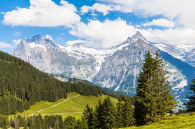 Schreckhorn, İsviçre Alpleri görünümünü