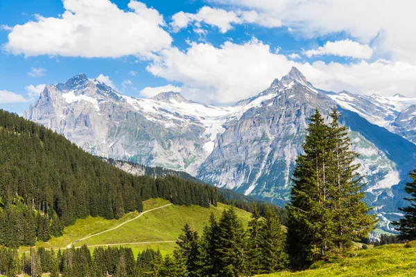 Pohled na Schreckhorn, Švýcarské Alpy — Stock fotografie
