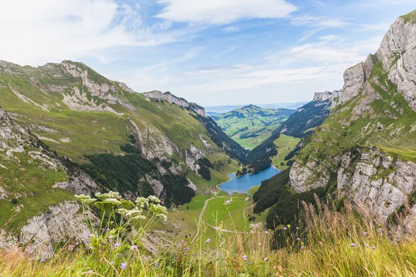 Panorama vista de Seealpsee (lago) e os alpes — Fotografia de Stock