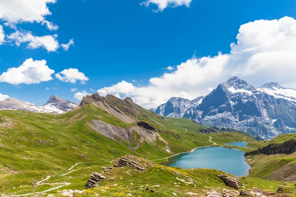 Bachalpsee és Schreckhorn — Stock Fotó