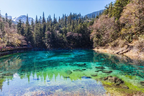 Bel étang dans le parc national de Jiuzhaigou — Photo