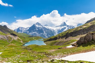 Bachalpsee ve Schreckhorn