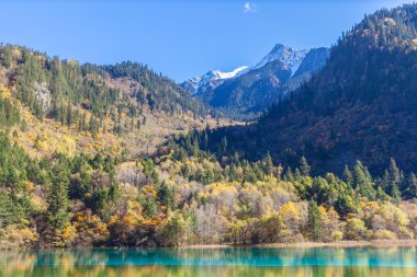 Jiuzhaigou Milli Parkı içinde muhteşem manzarası