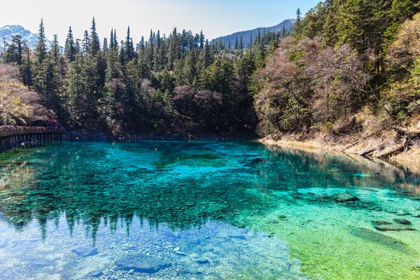 Bel étang dans le parc national de Jiuzhaigou — Photo