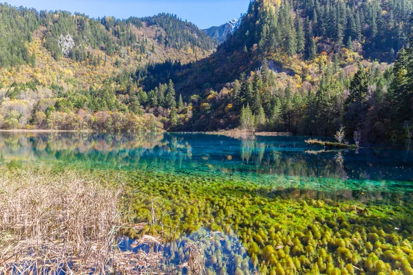 Magnífica vista en el Parque Nacional Jiuzhaigou — Foto de Stock