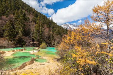 Huanlong Milli Parkı Sichuan Eyaleti, Çin