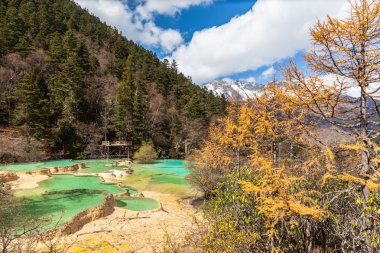 Huanlong national park in Sichuan Province, China clipart