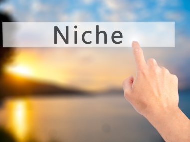 Niş - arka plan bulanık kavramı üzerinde bir düğmeye basarak el 