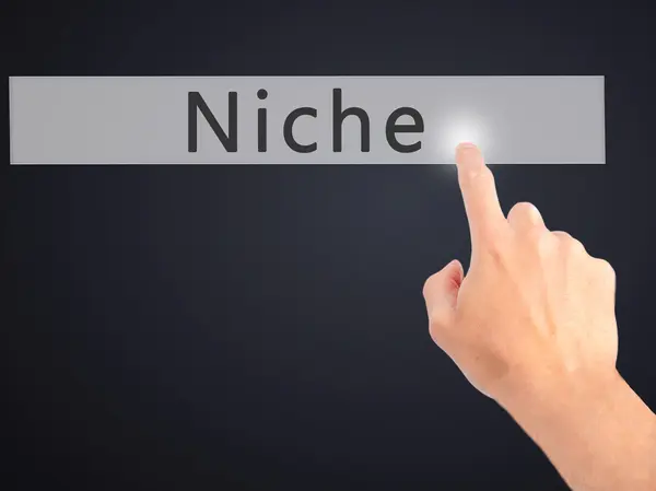 Niche - kéz egy elmosódott háttér koncepció gomb lenyomásával — Stock Fotó