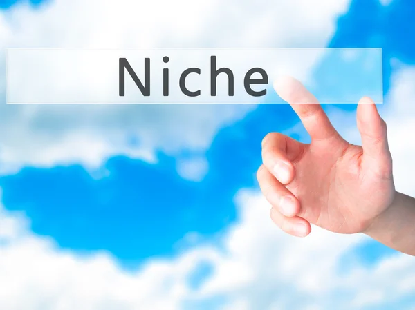 Niche - kéz egy elmosódott háttér koncepció gomb lenyomásával — Stock Fotó