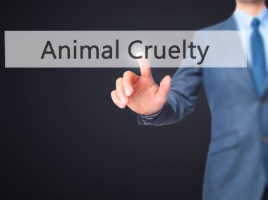 Hayvan gaddarlık - dokunmatik dağ eteğindeki taş yığını işadamı el basarak düğmesini