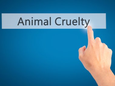 Hayvan gaddarlık - arka plan bulanık co üzerinde bir düğmeye basarak el