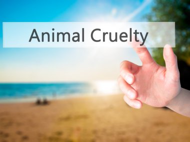 Hayvan gaddarlık - arka plan bulanık co üzerinde bir düğmeye basarak el