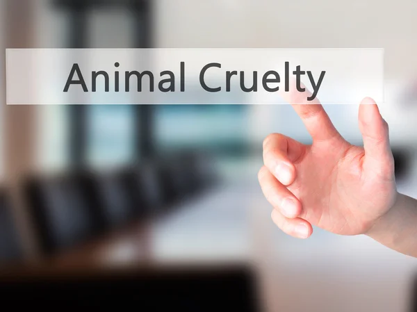 Animal Cruelty - Hand indrukken van een knop op de onscherpe achtergrond co — Stockfoto